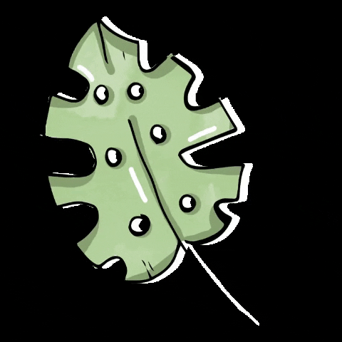 Patel Green Vector Leaf GIF