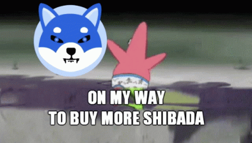 Patrick Star and Dog On My Way to Buy More Shibada