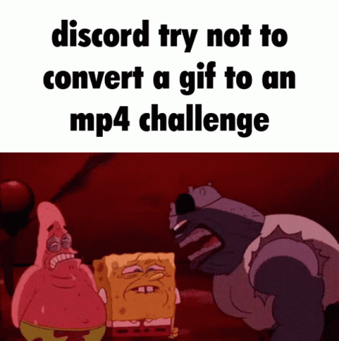 Patrick Star and SpongeBob Discord Try Not to Convert GIF to MP4 Challenge