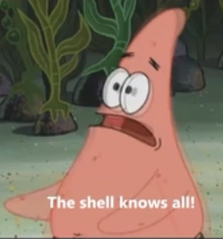 Patrick Star From Spongebob Squarepants Says `` The Shell Knows All ! '' GIF