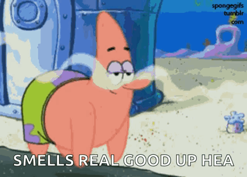 Patrick Star From Spongebob Squarepants Smells Real Good Up Hea GIF