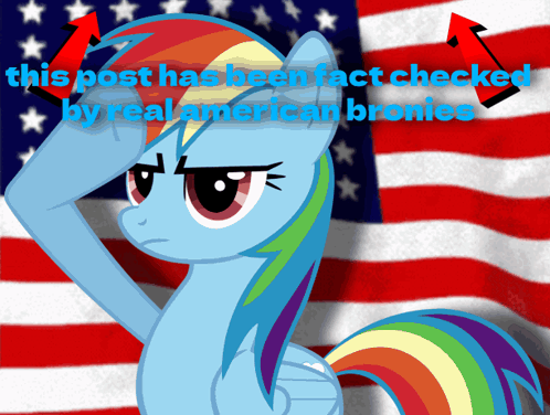 Patriot Pony Salutes At American Flag GIF