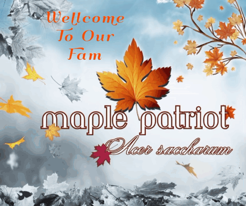 Patriot Welcome To Our Family GIF