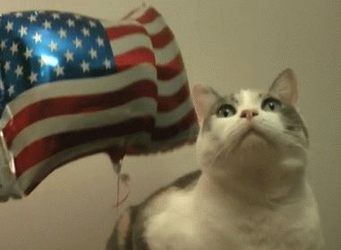 Patriotic Cat Balloon Usa Flag GIF