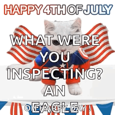 Patriotic Cat with Flag Happy 4th of July