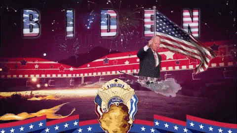 Patriotic Fireworks Display GIF