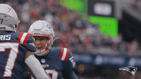 Patriots Harris Bumping Head GIF