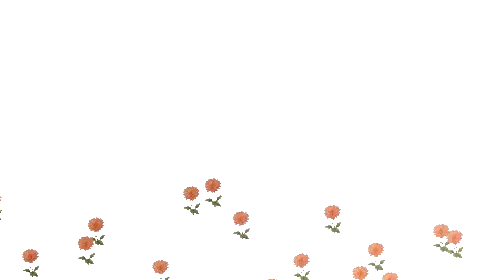 Pattern of Small Orange Flowers