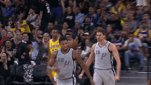 Pau Gasol Chest Bump & High Five GIF