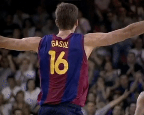 Pau Gasol Yes GIF