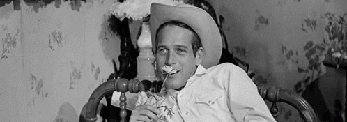 Paul Newman Hud GIF