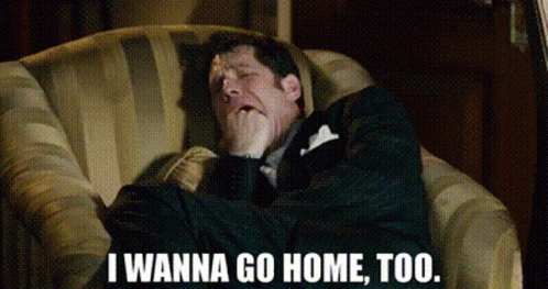 Paul Rudd I Wanna Go Home Too GIF