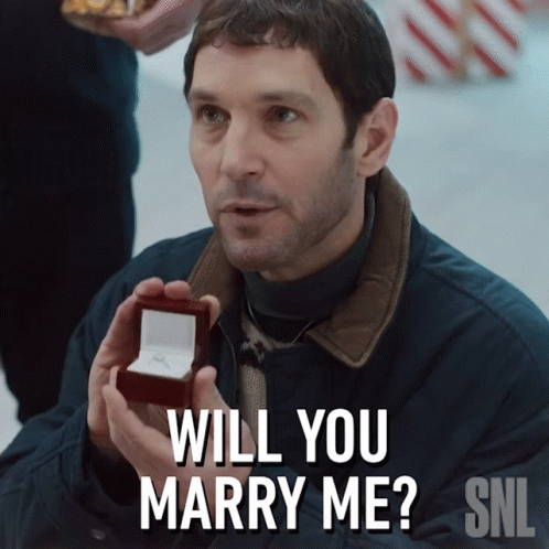 Paul Rudd Marry Me GIF
