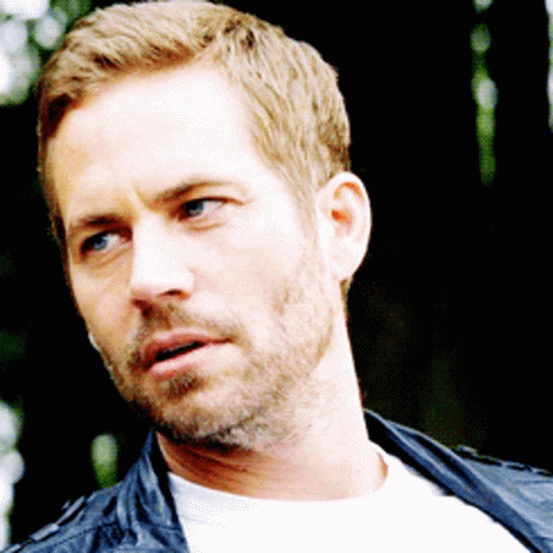 Paul Walker Serious Face Talking GIF