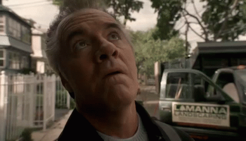 Paulie Walnuts I Surrender GIF