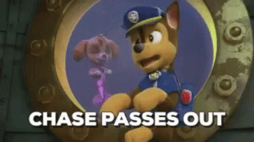 Paw Patrol Chase Pass Out GIF