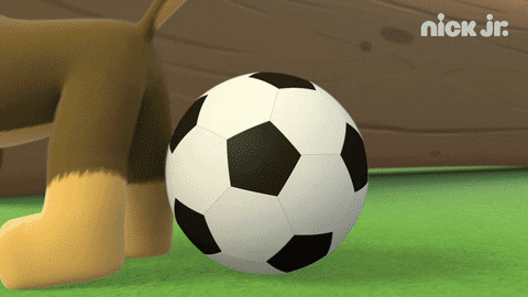 Paw Patrol Chase Soccer Kick GIF