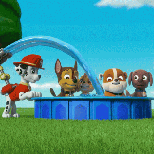 Paw Patrol Happy Water Pool GIF