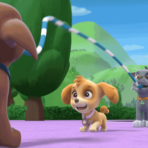 Paw Patrol Jump Rope Game GIF