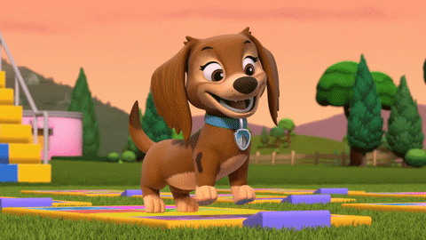 Paw Patrol Liberty Dance Back Flip GIF
