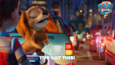 Paw Patrol Liberty Traffic Cars GIF