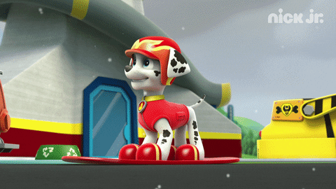 Paw Patrol Marshall Skateboard GIF