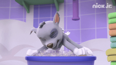 Paw Patrol Rocky Jump Bubble Bath GIF