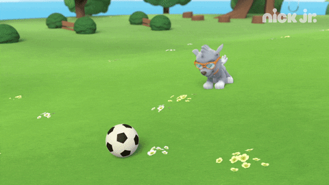 Paw Patrol Rocky Soccer Jump Mud GIF