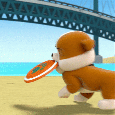 Paw Patrol Rubble Spinning Frisbee GIF
