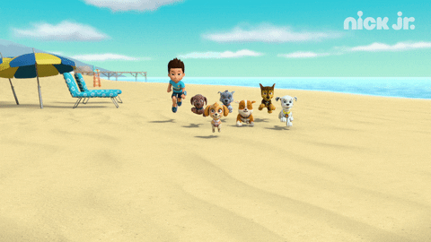 Paw Patrol Running Beach GIF