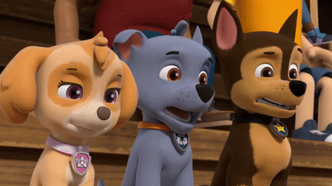 Paw Patrol Shocked Reaction GIF