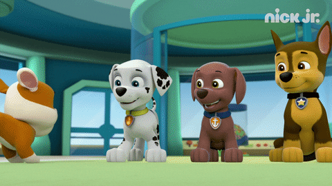 Paw Patrol Team High Five GIF