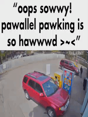 Pawallel Pawking Crash Meme GIF