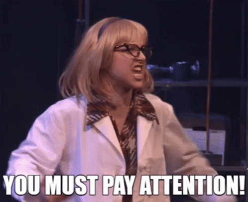 Pay Attention Cat Animation GIF