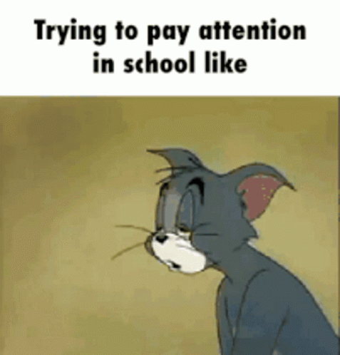 Pay Attention In School Be Like GIF