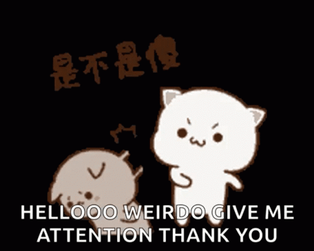 Pay Attention To Me Cat Smacking Head GIF