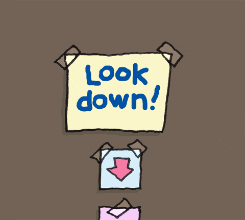 Pay Attention To Me Cute Doodle Dog GIF