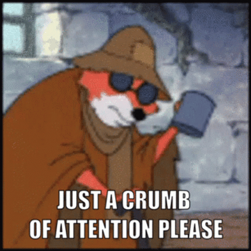 Pay Attention To Me Robbin Hood Beggar GIF