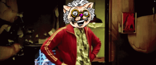 Pay That Man His Money Cat Head GIF