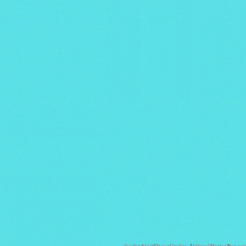 PayPal Gift Card Giveaway GIF