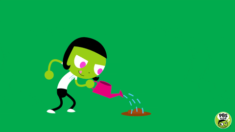 Pbs Kid Watering Growing Plant GIF