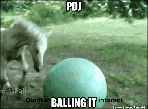 Pdj Balling It Gif GIF
