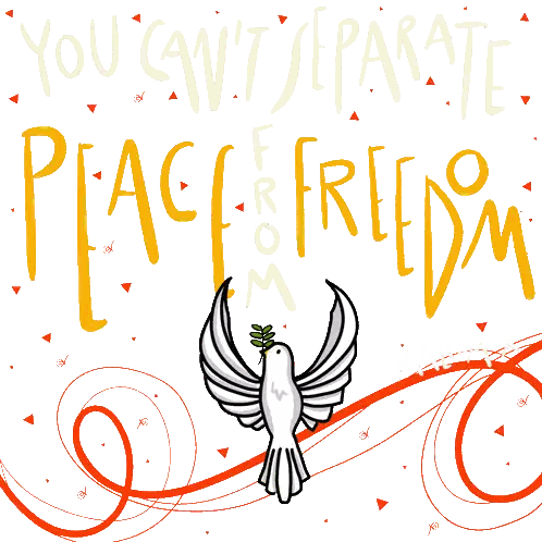 Peace and Freedom Dove Poster