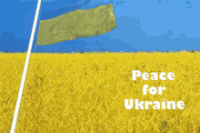 Peace For Ukraine Field GIF