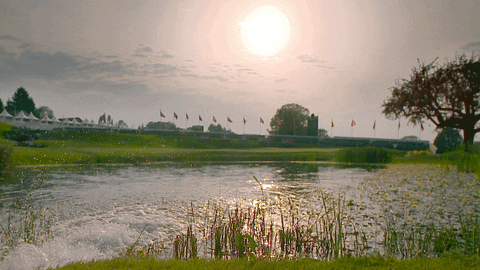 Peaceful Scenery In Golf Course GIF