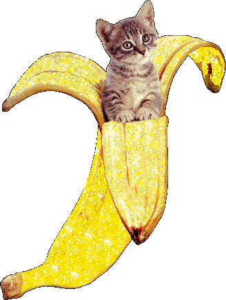 Peacefully Sitting On Top Of Banana Cat Meme GIF