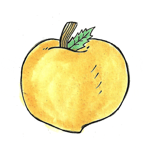 Rotating Peach Moving Graphic Arts GIF