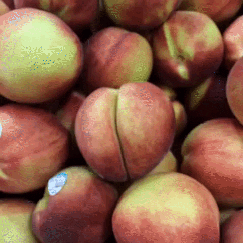 Fresh Peach Fruit Close Up Shot GIF