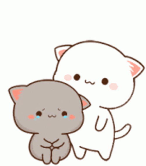 Peach And Goma Cats Comfort Hugs GIF