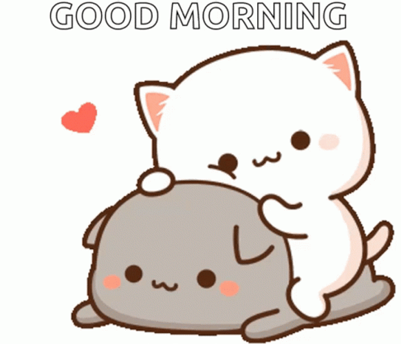 Peach And Goma Cats Good Morning Cartoon GIF